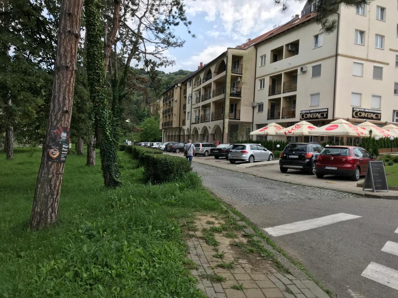 Apartment Danica Banja Koviljača Eksteriør billede